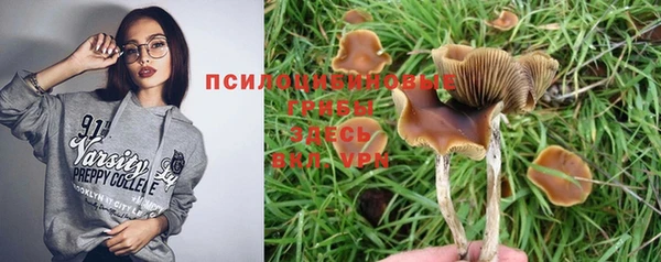 PSILOCYBIN Бугульма